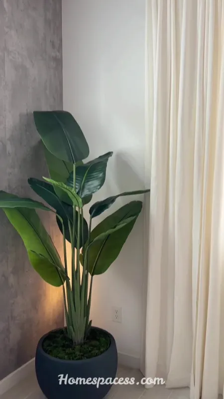 Indoor Plants Ideas to Bring Life, Color, and Freshness to Your Home 13 Low-Maintenance Plants for Busy Professionals and Beginners
