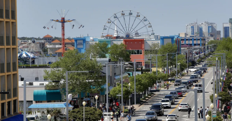 Why Virginia Beach Homeowners Should Check Low-Traffic Areas for Early Pest Activity Low-Traffic