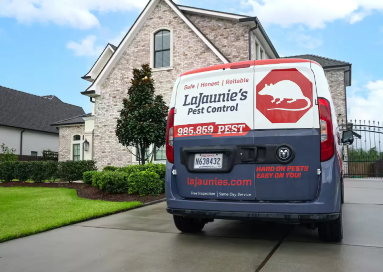 Why New Orleans Homes Need Pest Prevention That Accounts for Dense Urban Conditions New Orleans Homes Need Pest Prevention