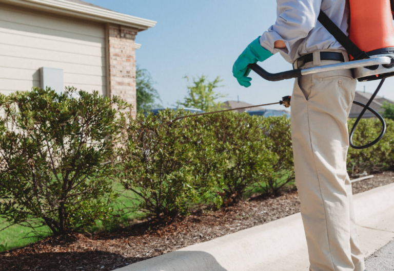 What Cincinnati Homeowners Should Check When Pest Problems Keep Returning Pest Problems Keep Returning